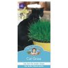 Homebase Seeds | Mr. Fothergill'S Cat Grass Avena Sativa Seeds