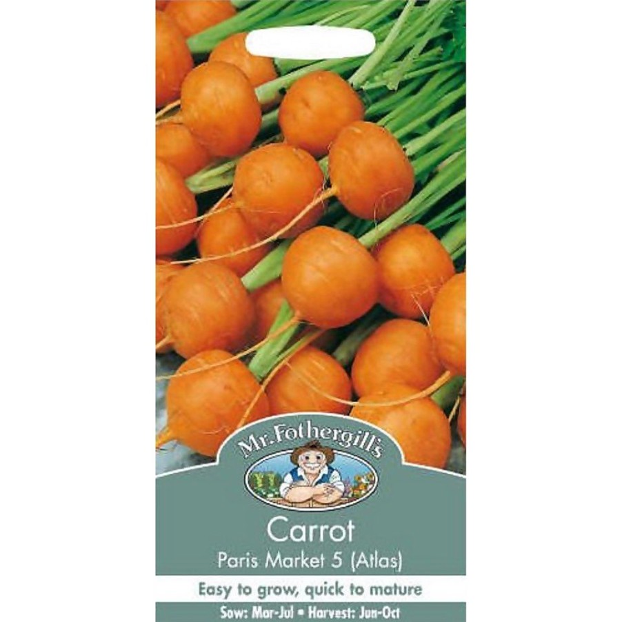 Homebase Seeds | Mr. Fothergill'S Carrot Paris Market 5 Atlas (Daucus Carota) Seeds