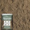 Homebase Decorative Stone, Gravel & Chippings | Stylish Stone Horticultural Sharp Sand, Midi Bag - 9Kg