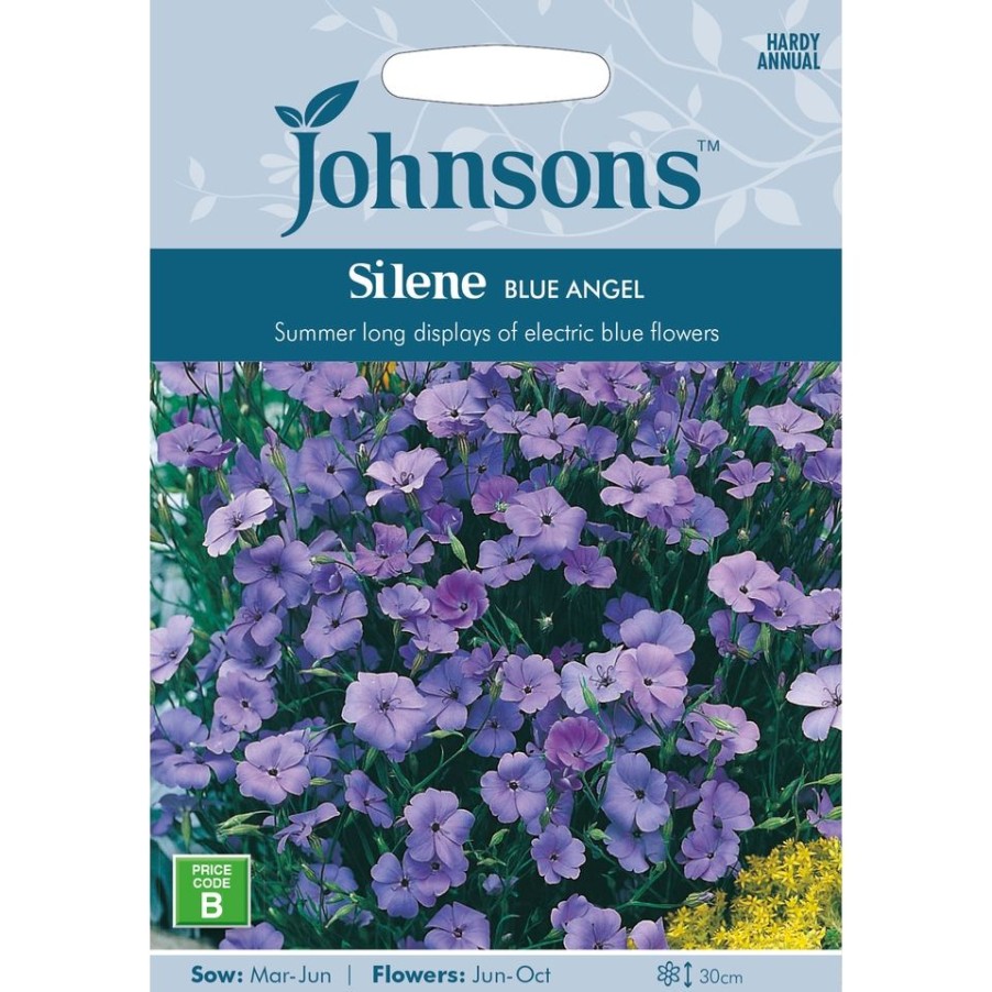 Homebase Seeds | Johnsons Silene Seeds - Blue Angel