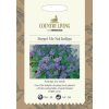 Homebase Seeds | Country Living Forget Me Not Indigo Seeds