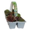 Homebase Perennial Plants | Sempervivum & Sedum - Pack Of 10