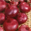 Homebase Grow Your Own | Vegetable Strip Onion Red Baron