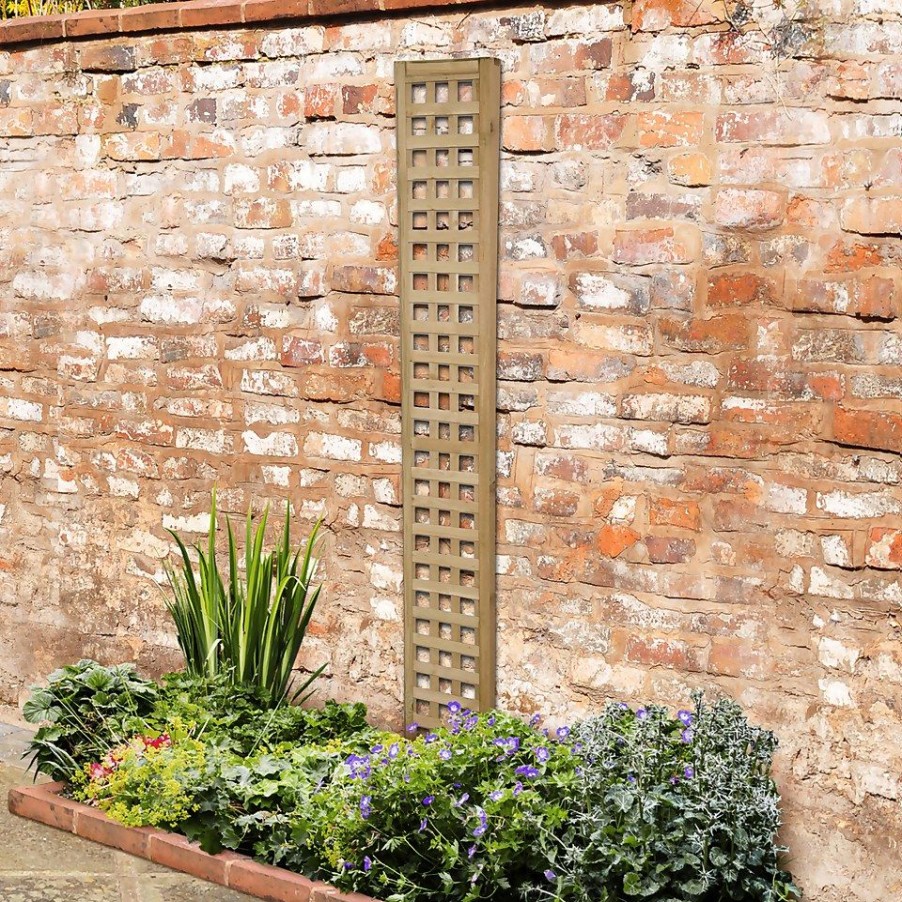 Homebase Trellis | Forest Prem Framed Trellis - 180X30Cm - 6Pk