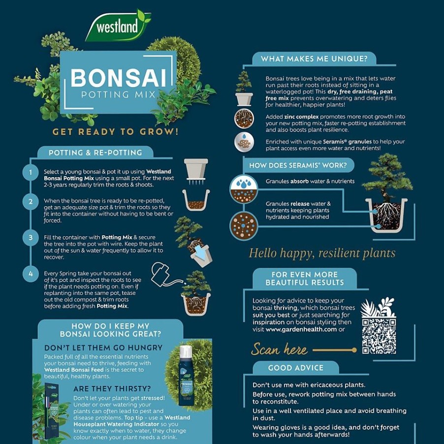 Homebase Compost | Westland Peat Free Bonsai Potting Mix - 4L