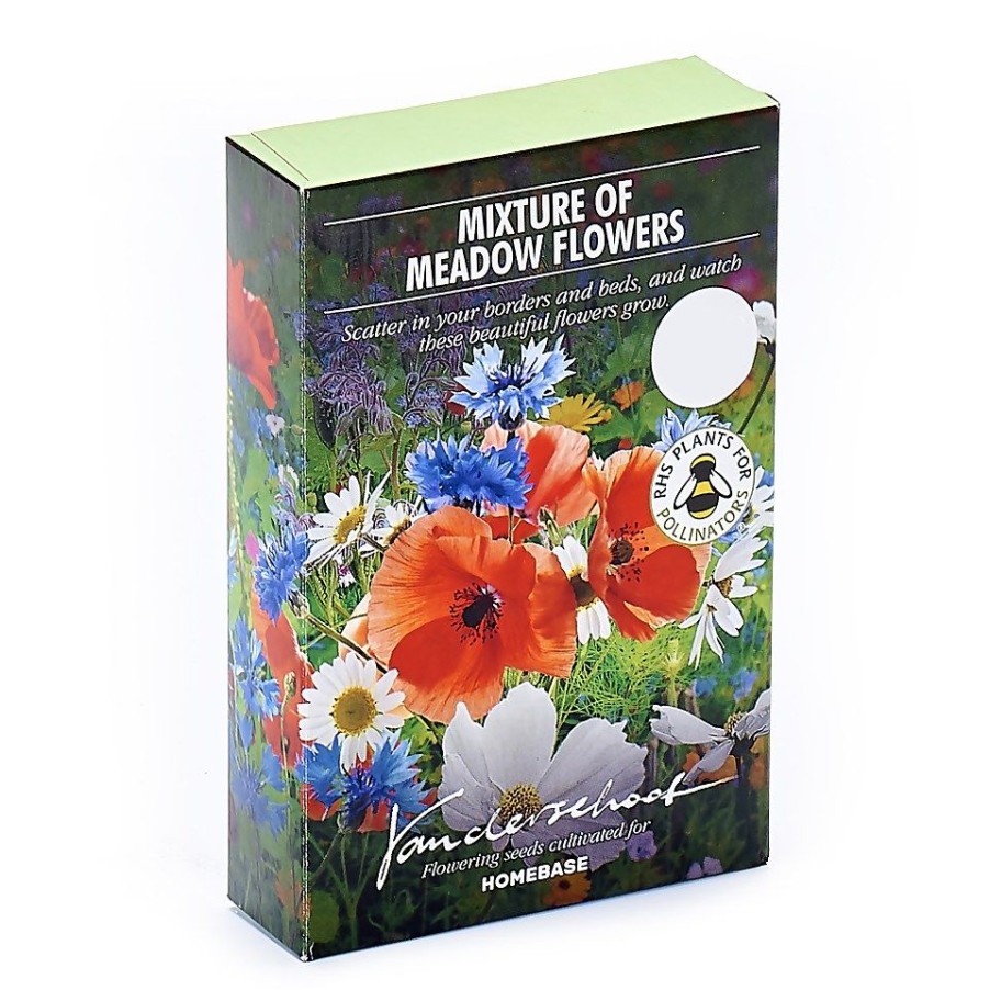 Homebase Summer Flowering Bulbs | Meadow Garden Mixture