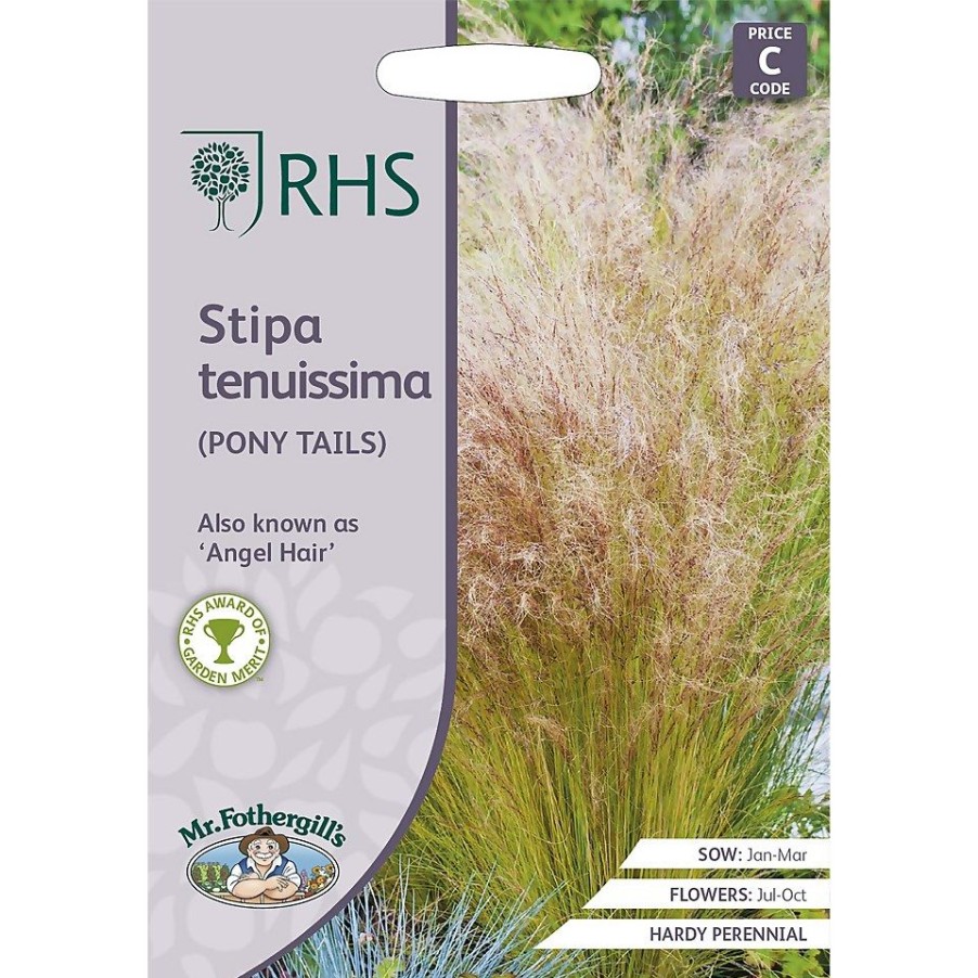 Homebase Seeds | Rhs Stipa Tenuimmia Pony Tails Seeds