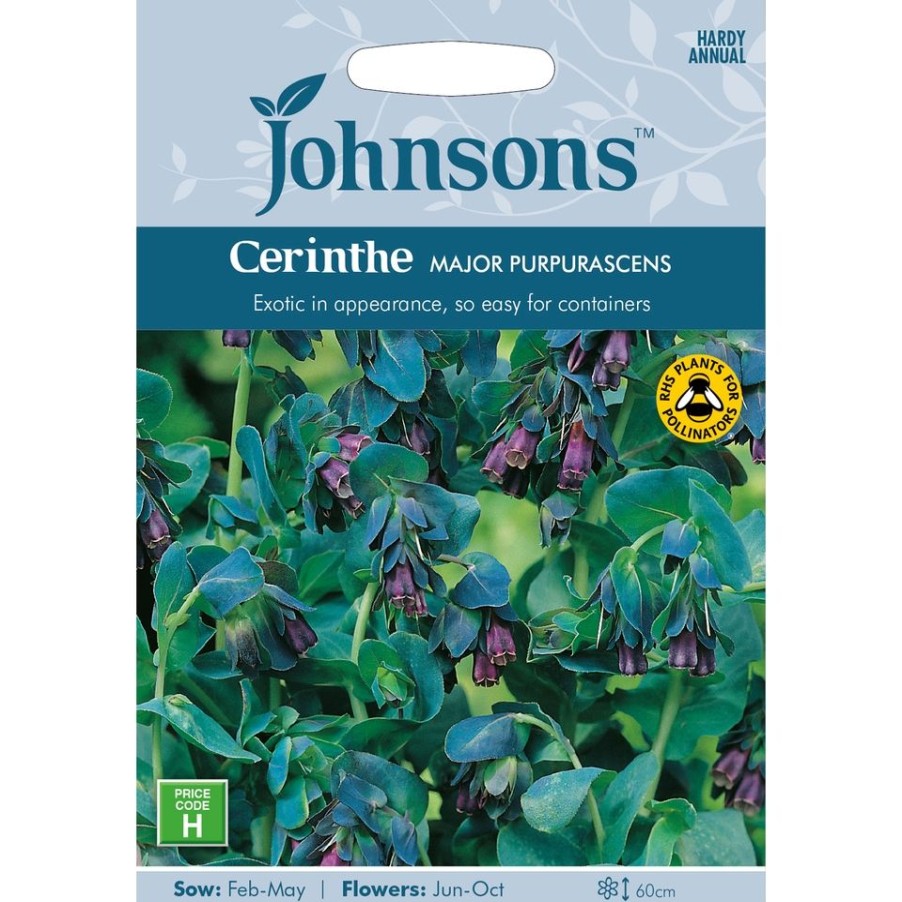 Homebase Seeds | Johnsons Cerinthe Seeds - Major Purpurascens