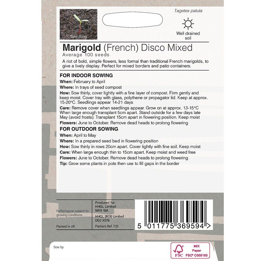 Homebase Seeds | House Beautiful Marigold French Disco Mixed Seeds