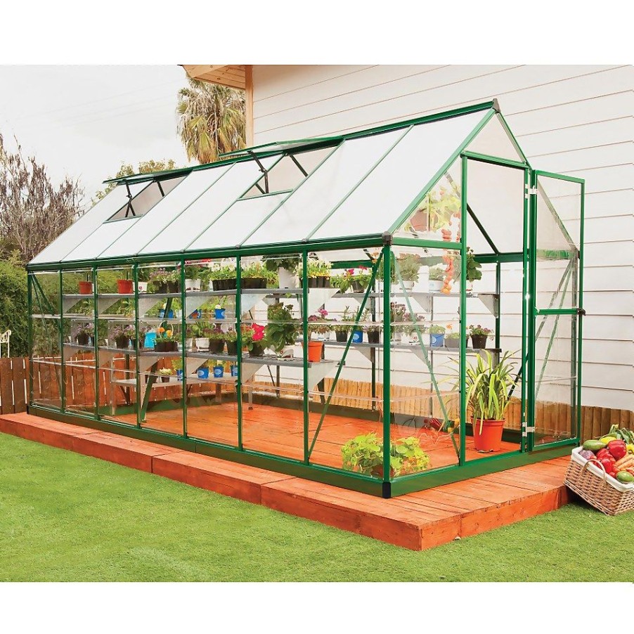 Homebase Greenhouses | Palram Canopia Hybrid 6 X 14Ft Green Greenhouse