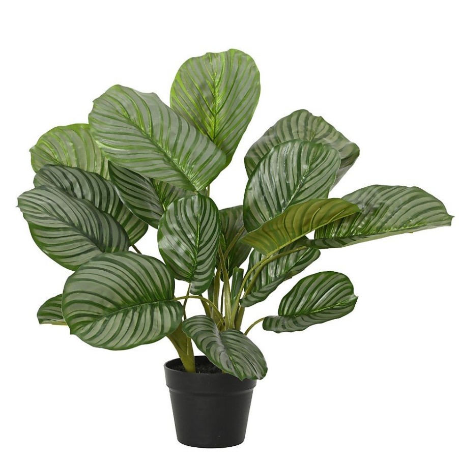 Homebase Artificial Plants | Everlands Artificial Calathea Plant - 47Cm