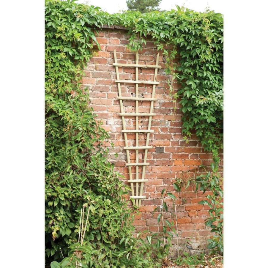 Homebase Trellis | Traditional Fan Trellis 180 X 60Cm