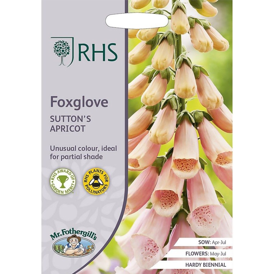 Homebase Seeds | Rhs Foxglove Suttons Apricot