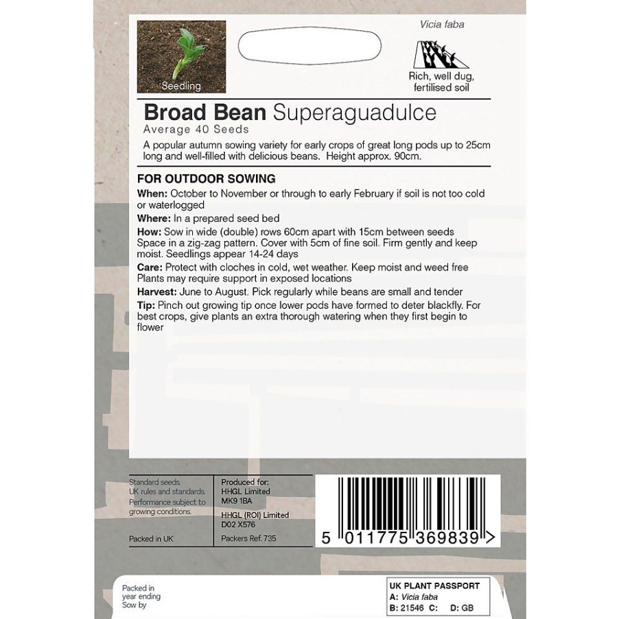 Homebase Seeds | House Beautiful Broad Bean Superaguadulce Seeds