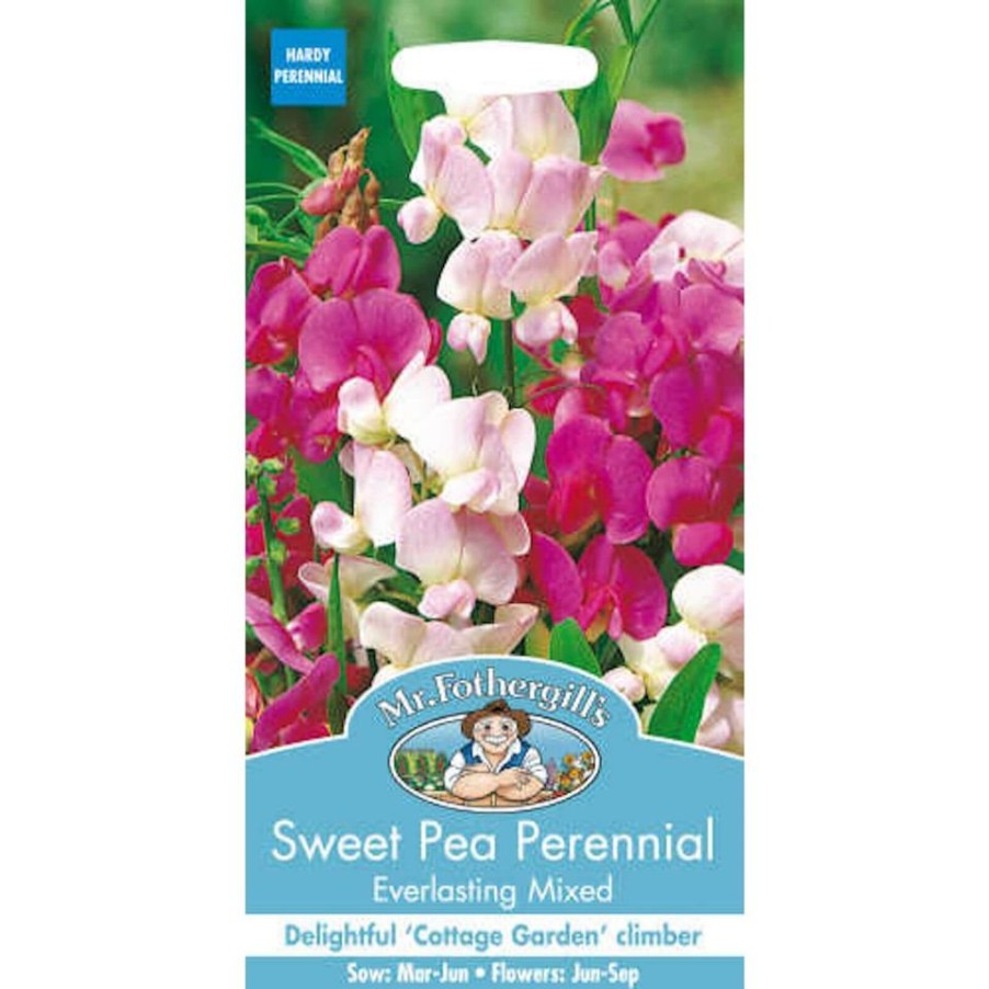 Homebase Seeds | Mr. Fothergill'S Sweet Pea Perennial Everlasting Mixed (Lathyrus Latifolius) Seeds