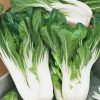 Homebase Grow Your Own | Vegetable Strip Pak Choi Yang Qing Choi