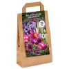 Homebase Summer Flowering Bulbs | Bee Attracting Bulb Collection