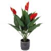 Homebase Artificial Plants | Artificial Anthurium In Ceramic Pot