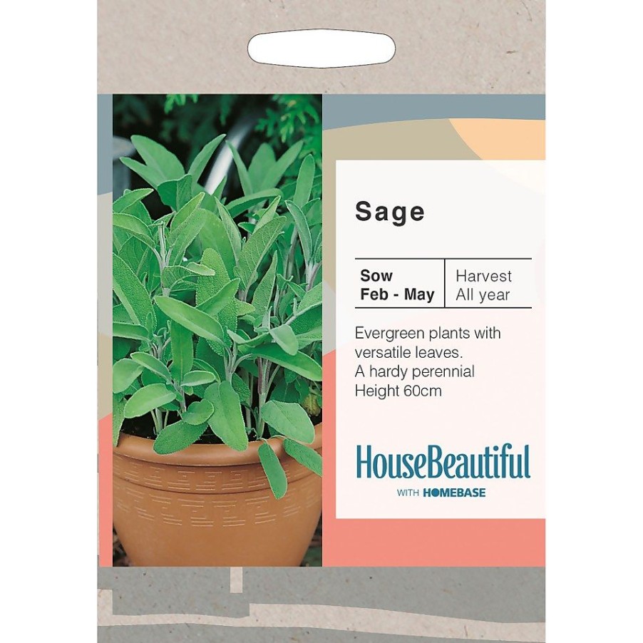 Homebase Seeds | House Beautiful Sage Seeds