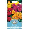 Homebase Seeds | Mr. Fothergill'S Dahlia Dwarf Double Mixed (Dahlia X Hortensis) Seeds