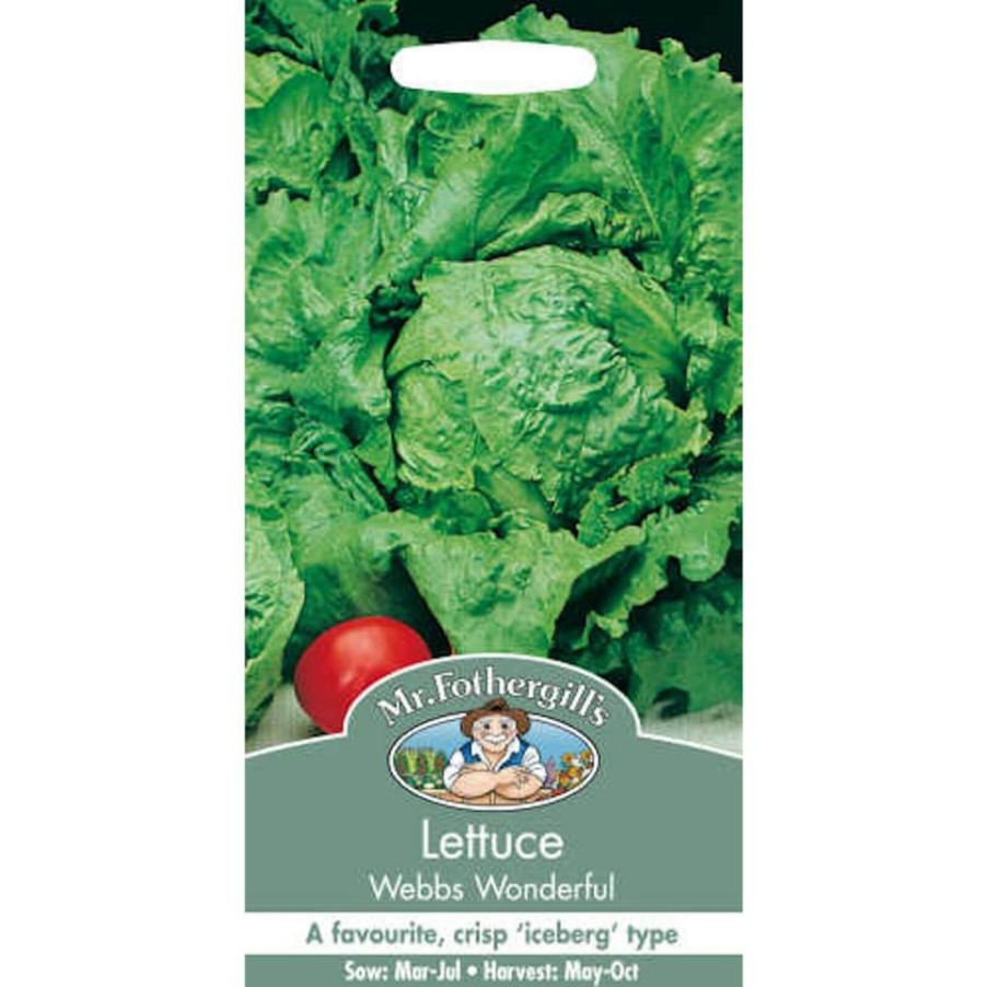 Homebase Seeds | Mr. Fothergill'S Lettuce Webbs Wonderful (Lactuca Sativa) Seeds