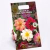 Homebase Summer Flowering Bulbs | Dahlia Redskin Mixed Bulbs