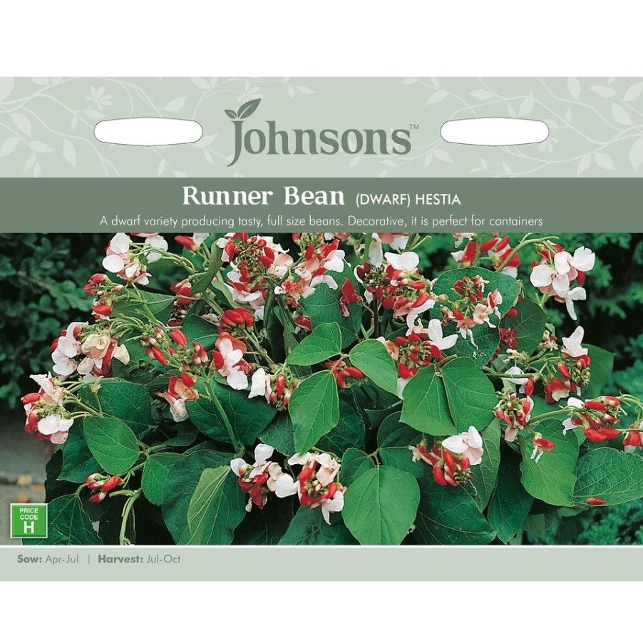 Homebase Seeds | Dwarf Runner Bean Hestia Seeds