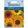 Homebase Seeds | Sunflower Autumn Beauty Seeds