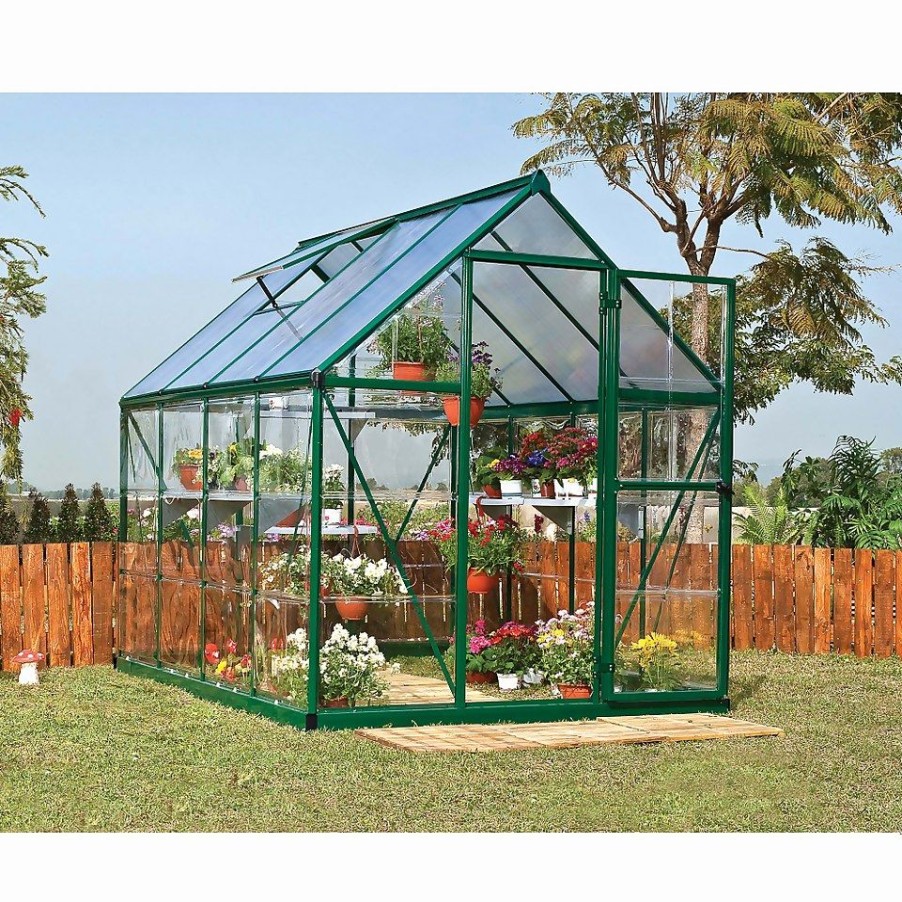 Homebase Greenhouses | Palram Canopia Hybrid 6 X 8Ft Green Greenhouse