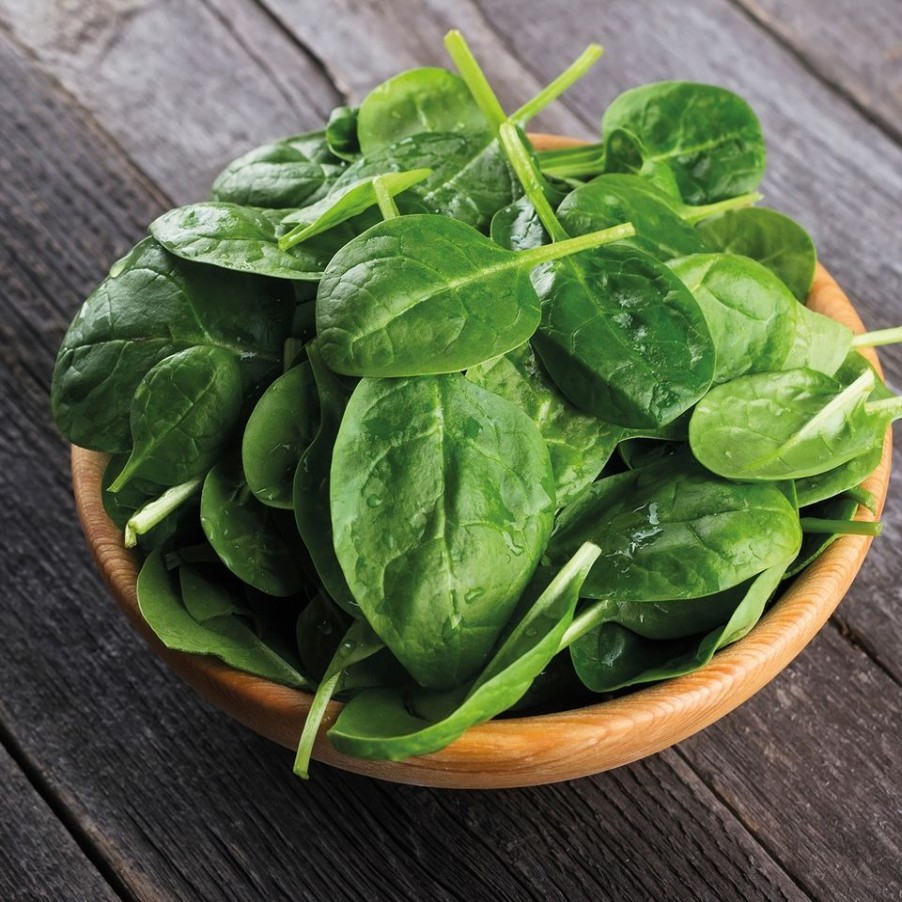 Homebase Seeds | Johnsons Spinach Seeds - Amador