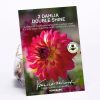 Homebase Summer Flowering Bulbs | Dahlia Double Shine