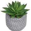 Homebase Artificial Plants | Small Succulent - Grey