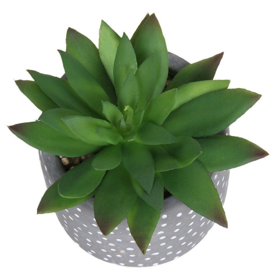 Homebase Artificial Plants | Small Succulent - Grey