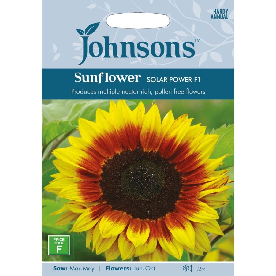 Homebase Seeds | Johnsons Sunflower Seeds - Solar Power