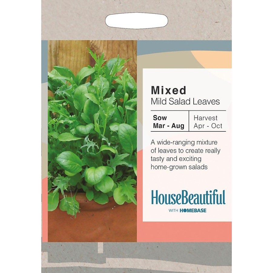 Homebase Seeds | House Beautiful Mixed Mild Salad Leaves Seeds