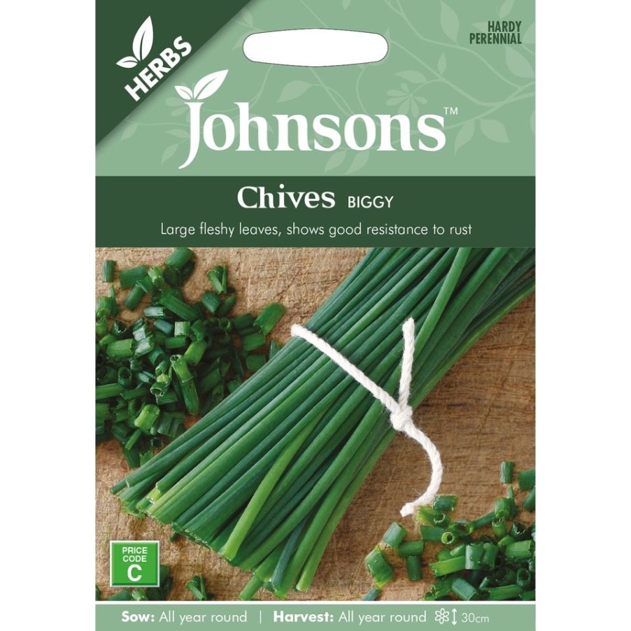 Homebase Seeds | Johnsons Chives Seeds - Biggy