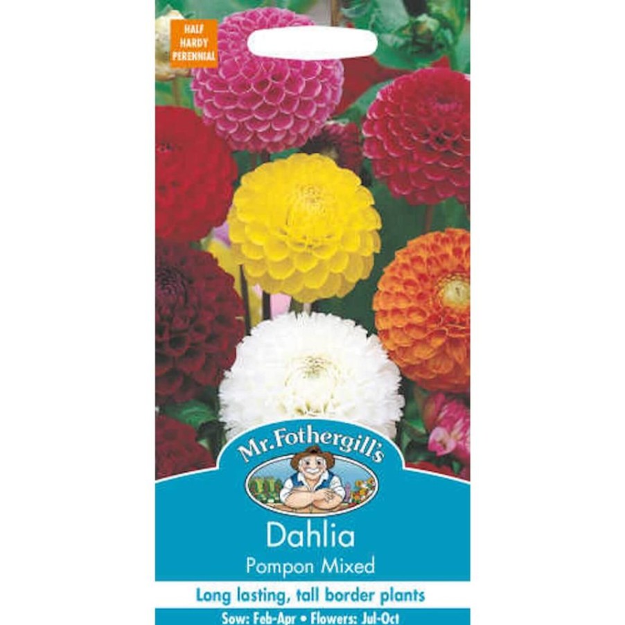 Homebase Seeds | Mr. Fothergill'S Dahlia Pompon Mixed (Dahlia X Hortensis) Seeds