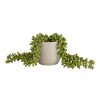 Homebase Artificial Plants | House Beautiful String Of Pearls In Ceramic Pot