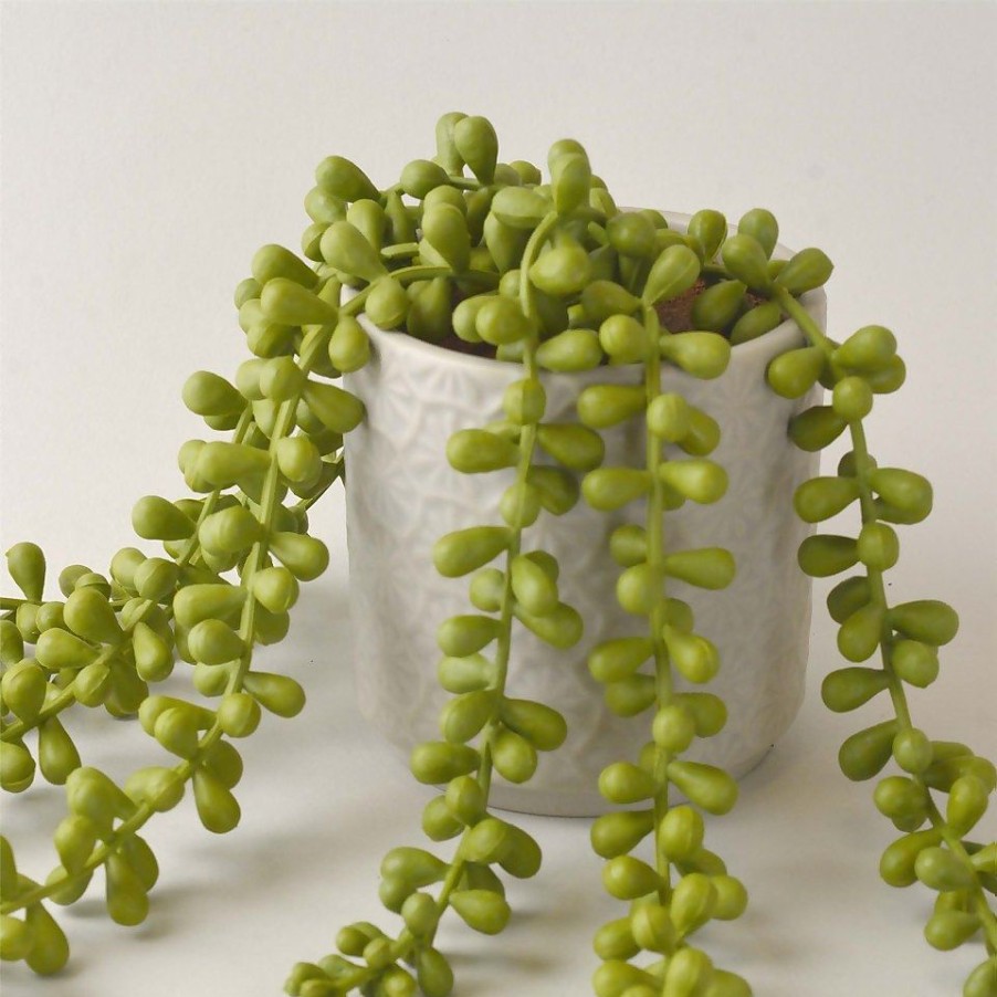 Homebase Artificial Plants | House Beautiful String Of Pearls In Ceramic Pot