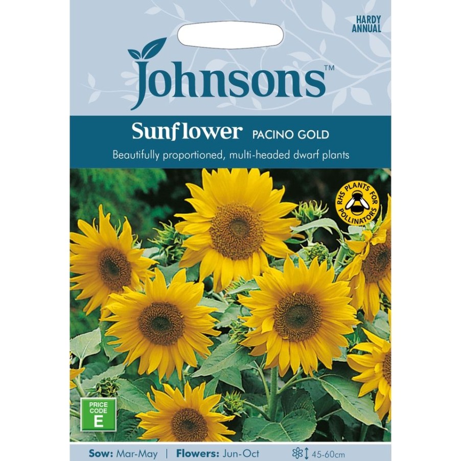 Homebase Seeds | Sunflower Pacino Gold Seeds