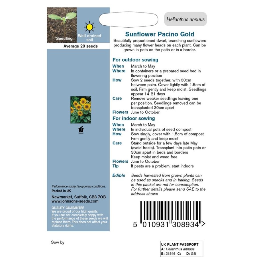 Homebase Seeds | Sunflower Pacino Gold Seeds