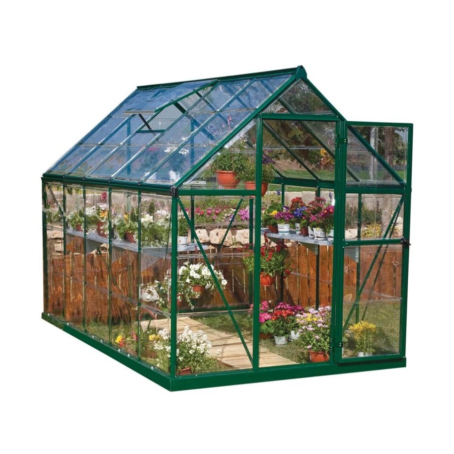 Homebase Greenhouses | Palram 6 X 10Ftcanopia Harmony Greenhouse- Green