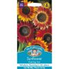 Homebase Seeds | Mr. Fothergill'S Sunflower Evening Sun Seeds