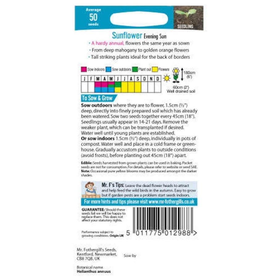 Homebase Seeds | Mr. Fothergill'S Sunflower Evening Sun Seeds