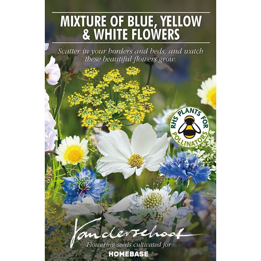 Homebase Summer Flowering Bulbs | Seed Mixture Of Blue, Yellow And White Flowers