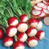 Homebase Grow Your Own | Vegetable Strip Radish Cherry Belle