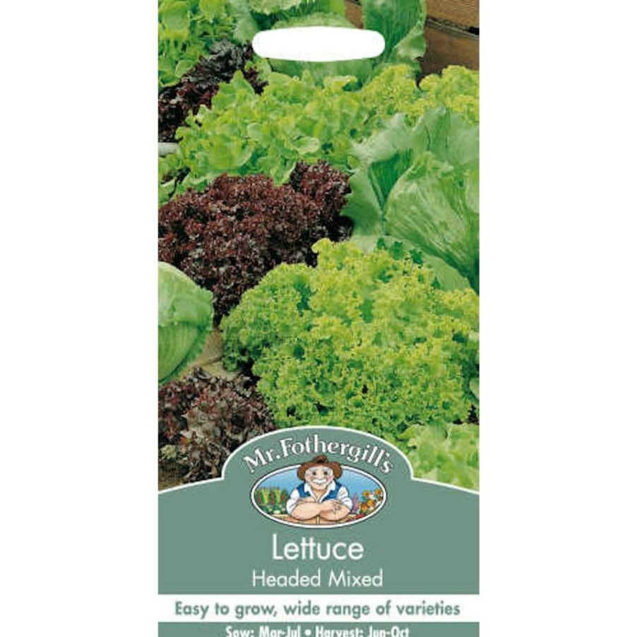 Homebase Seeds | Mr. Fothergill'S Lettuce Headed Mixed (Lactuca Sativa) Seeds