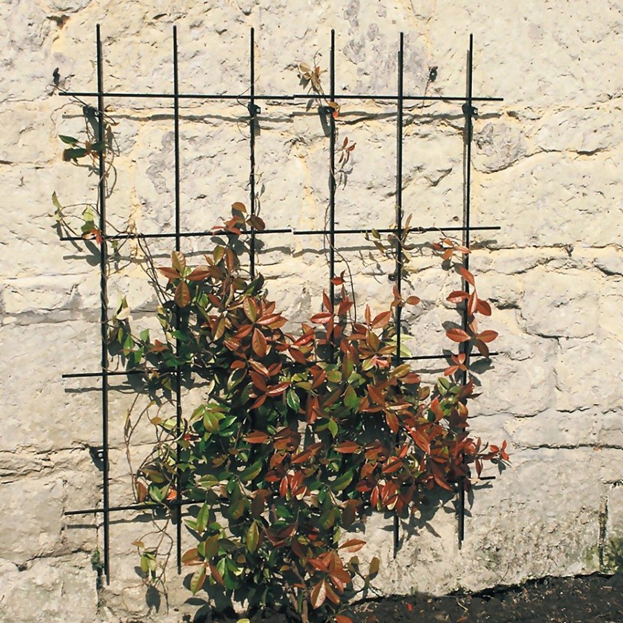 Homebase Trellis | Agriframes Wall Mounted Garden Trellis (Pack Of 2) - W 61Cm X H 1.22M Per Panel - Black