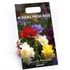 Homebase Summer Flowering Bulbs | Freesia Double Mixed