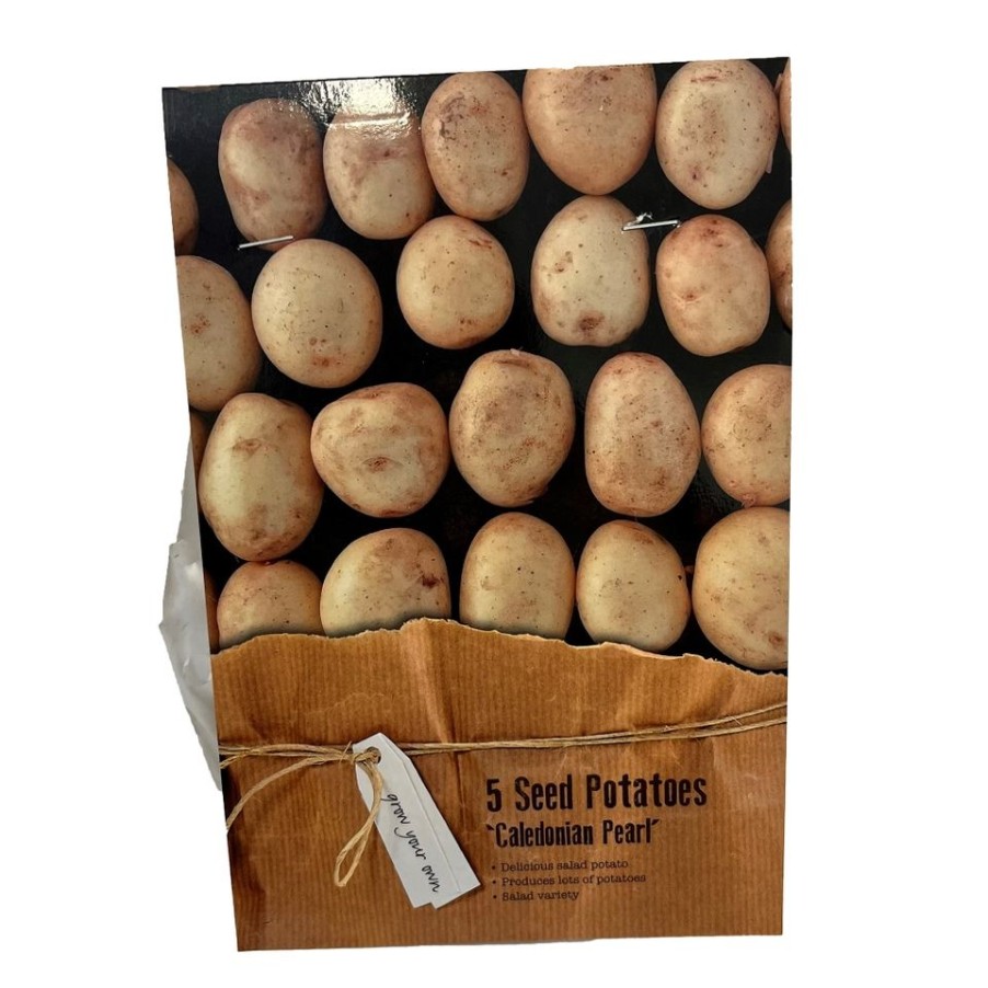 Homebase Grow Your Own | Caledonian Pearl' Seed Potatoes - 5 Tubers